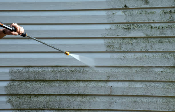 Best Driveway Pressure Washing  in Kingston, TN